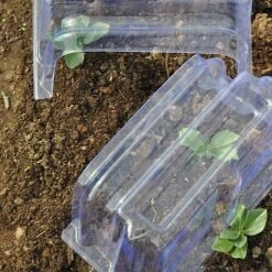 Mini Greenhouse Cloche -Double Tree Store CLOC V69804 D