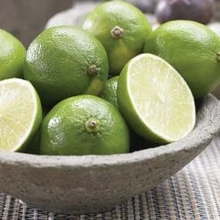 Citrus Tree Collection -Double Tree Store Lime