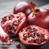 Pomegranate 'Provence' 1 Pomegranate 'Provence' -Double Tree Store POMPROV 14152 A