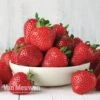 Strawberry 'Cambridge Favourite' (Mid Season) 1 Strawberry 'Cambridge Favourite' (Mid Season) -Double Tree Store STRA V73919P B