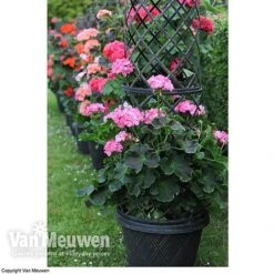 Tower Pot™ Black & Gold -Double Tree Store TOWE V48803P B