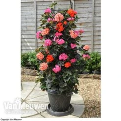 Tower Pot™ Black & Gold -Double Tree Store TOWE V48803P C