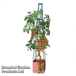 Garden Grow Self Watering 4 Tier Tomato Tower -Double Tree Store TOWE TOMSELFWA T045925
