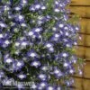 Lobelia 'Waterfall Ice Blue' -Double Tree Store lob waterfall 3