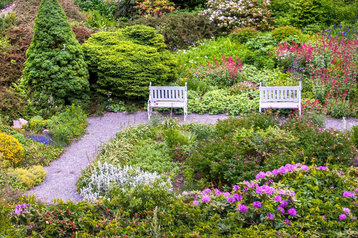 Double Tree Store -Double Tree Store flower garden ideas 4174111 06 3a95e19d34844bac8e261fa3ecdb12eb